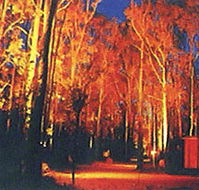 Dwellingup Chalet amp Caravan Park - Hervey Bay Accommodation