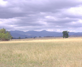 Sherwoods Cottage Farmstay - Hervey Bay Accommodation 0