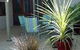 Barossa Best Bed And Breakfast - thumb 1