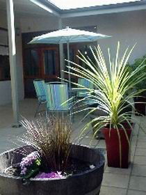 Barossa Best Bed And Breakfast - Hervey Bay Accommodation 1