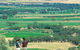 Barossa Best Bed And Breakfast - thumb 5