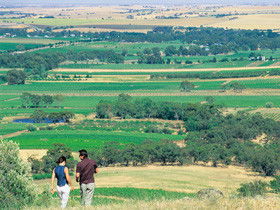 Barossa Best Bed And Breakfast - Hervey Bay Accommodation 5