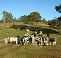 St Columba Cottage - Hervey Bay Accommodation