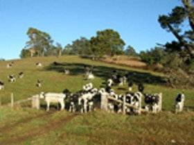 St Columba Cottage - Hervey Bay Accommodation 0