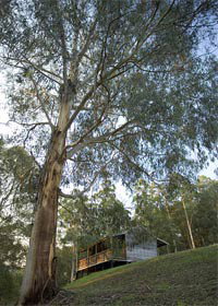 Noojee VIC Hervey Bay Accommodation