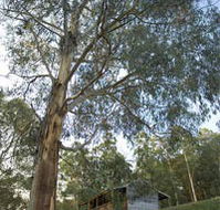 Outpost Restaurant - Hervey Bay Accommodation