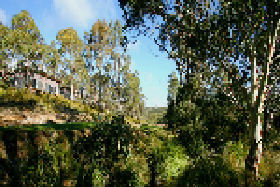 Rossarden TAS Hervey Bay Accommodation