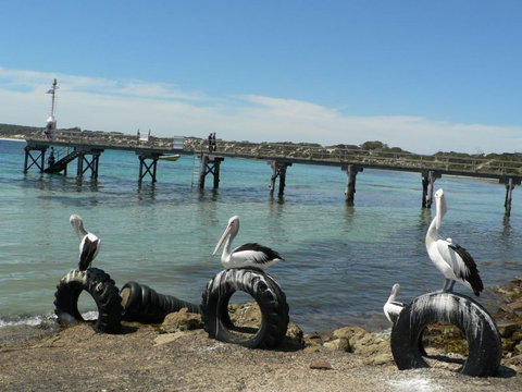 Fareview Beach House - Hervey Bay Accommodation 3