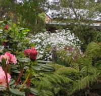 Lorne Lemonade Creek Cottages - Hervey Bay Accommodation