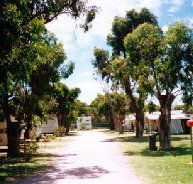 Bathers Paradise Caravan Park - Hervey Bay Accommodation