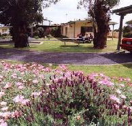 Brigadoon Holiday Units - Tourism Hervey Bay