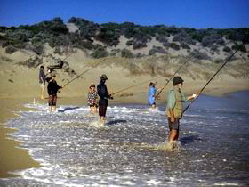 Flippers Beachouse - Hervey Bay Accommodation 0