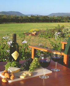 Tranquil Vale Vineyard Cottages - Hervey Bay Accommodation 0