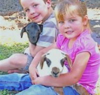 Mansfield Park - Tourism Hervey Bay