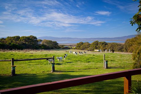 Coastal View Cabins - Hervey Bay Accommodation 9