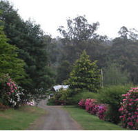Mountain Rivers Lodge