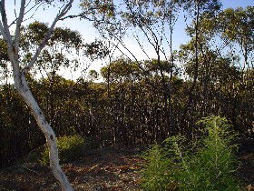 Cuballing ACT Hervey Bay Accommodation
