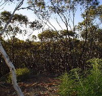Lions Dryandra Woodlands Village - Hervey Bay Accommodation