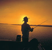 Point Stuart Wilderness Lodge - Hervey Bay Accommodation