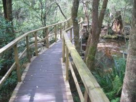 The Mouses House - Hervey Bay Accommodation 0