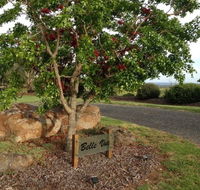 Belle Vue Studio - Hervey Bay Accommodation