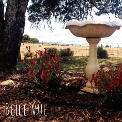 Belle Vue Studio - Hervey Bay Accommodation 1