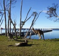 Waterfront Retreat At Wattle Point - Hervey Bay Accommodation