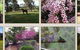 Moondyne Country Convention Centre - thumb 3