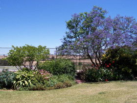 Chuckem Farm - Hervey Bay Accommodation 0