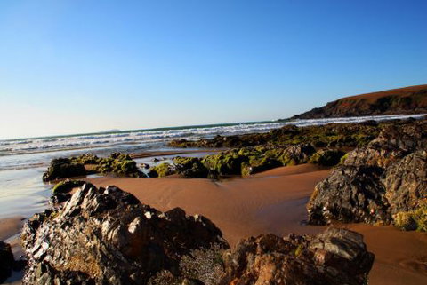 ArtHOUSE Beachfront Accommodation - Hervey Bay Accommodation 8