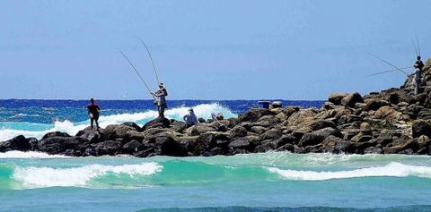 Orchid Sands Fraser Island Accommodation - Hervey Bay Accommodation 2