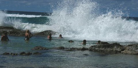Orchid Sands Fraser Island Accommodation - Hervey Bay Accommodation 5