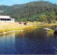 Millybrook Lodge - Hervey Bay Accommodation