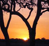 Coodardie Station Stay - Hervey Bay Accommodation