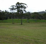 Mt White Lodge - Tourism Hervey Bay