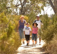 Pepper Tree Cottage - Hervey Bay Accommodation