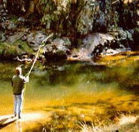 Markdale Homestead - Hervey Bay Accommodation