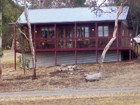 Ivybrook Vineyard Cottage - Hervey Bay Accommodation 0