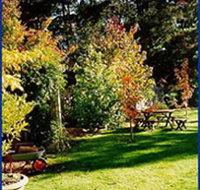 Peartree Cottage Leura - Tourism Hervey Bay