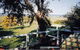 Kidogo Cottage - thumb 0
