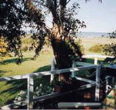 Kidogo Cottage - Hervey Bay Accommodation