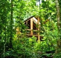 Fur'N'Feathers Rainforest Tree Houses - Hervey Bay Accommodation