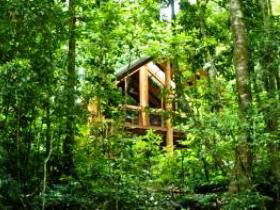 Fur'N'Feathers Rainforest Tree Houses - Hervey Bay Accommodation 0
