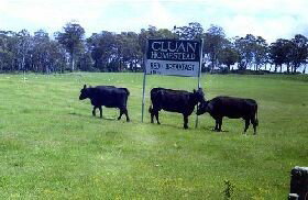 Cluan Homestead - Hervey Bay Accommodation 0