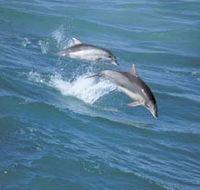 Seachange - Hervey Bay Accommodation