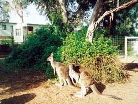 Willow Banks SA Hervey Bay Accommodation