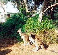Avoca Dell Caravan Park - Hervey Bay Accommodation