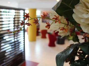 Ibis Newcastle - Tourism Hervey Bay 24