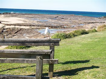 Pigeon House Motor Inn - Hervey Bay Accommodation 24