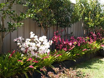 Pigeon House Motor Inn - Hervey Bay Accommodation 28